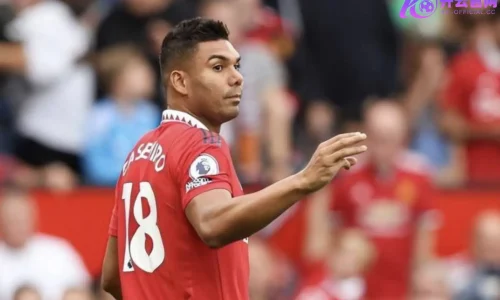 开云体育新手指南：跟踪球队表现