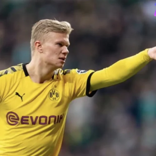 开云体育赛事复盘